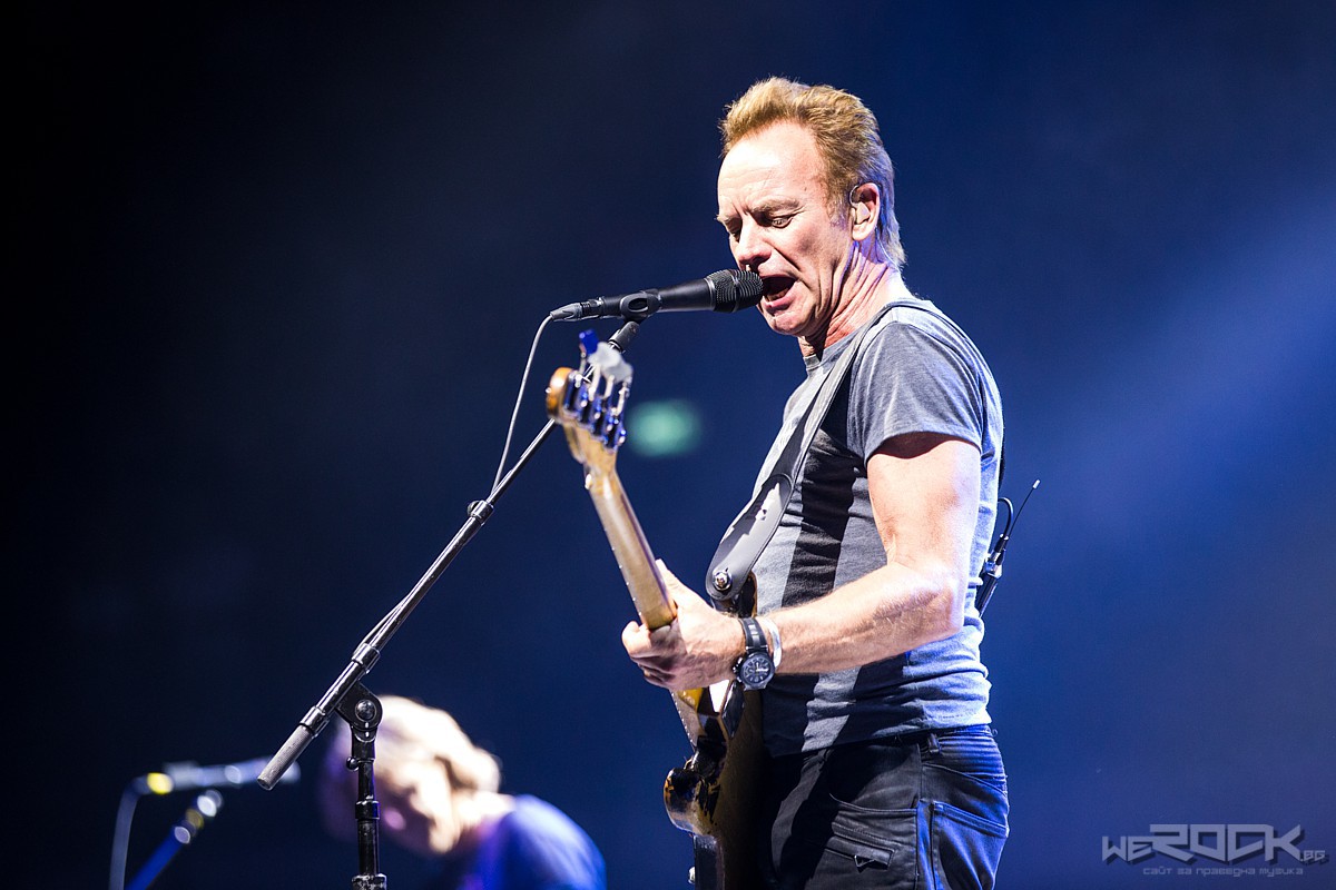 sting