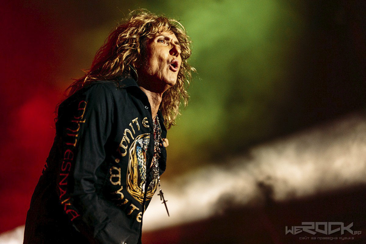 whitesnake