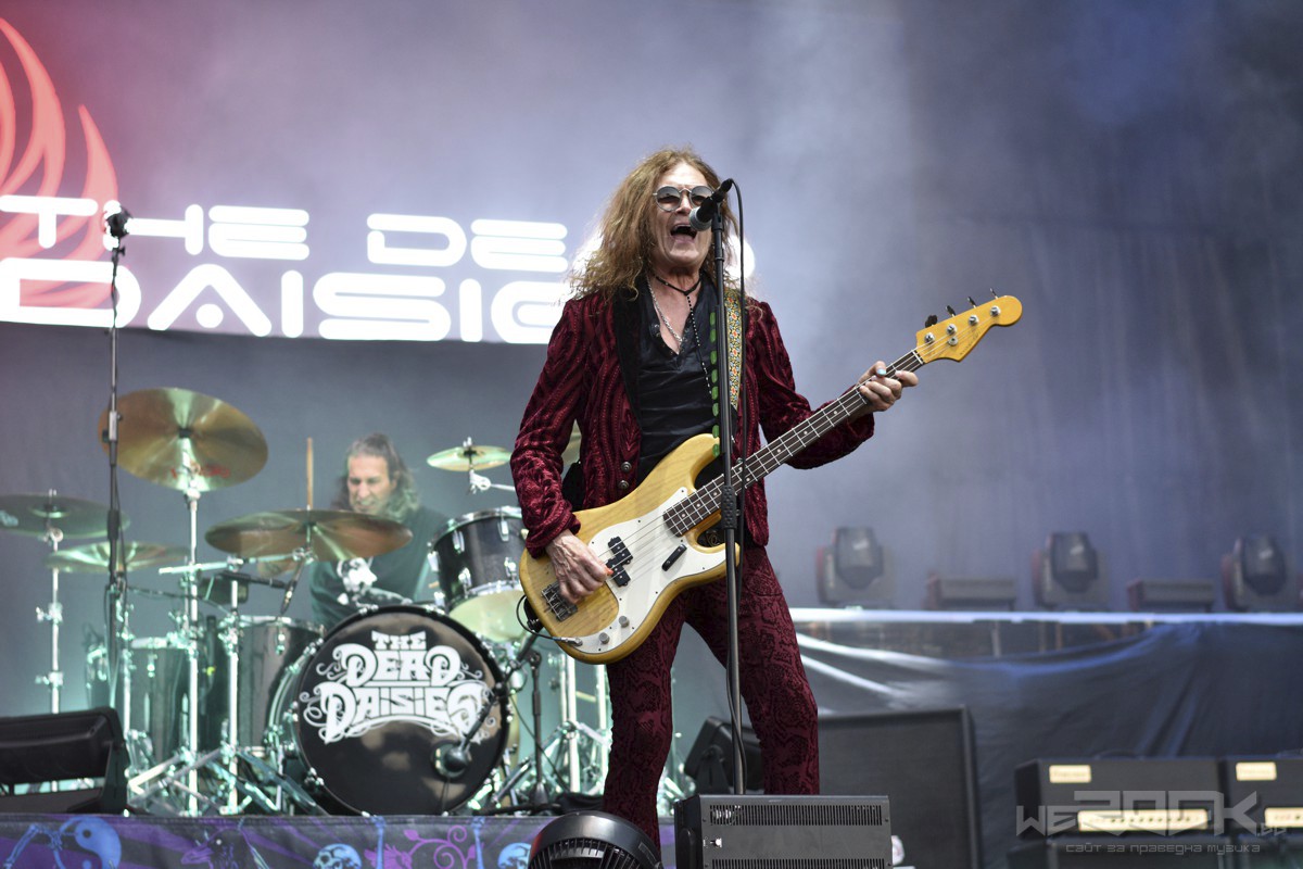 the dead daisies