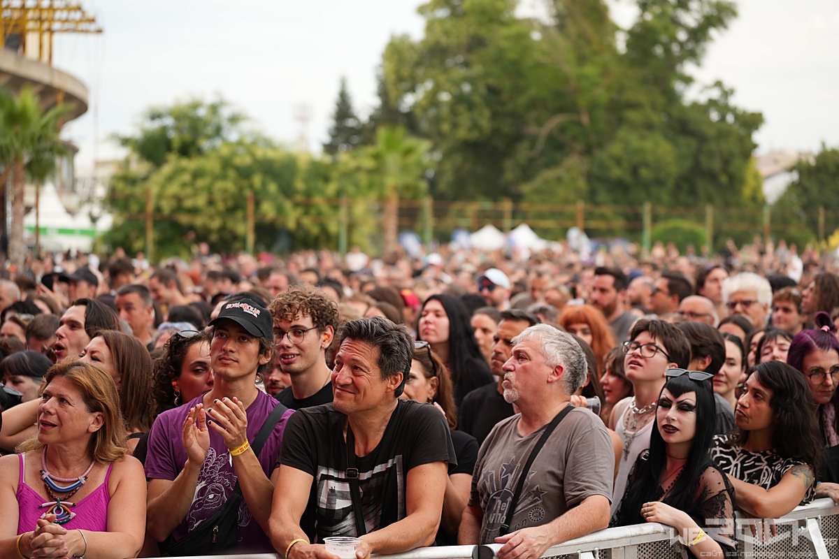 phillgood festival fans