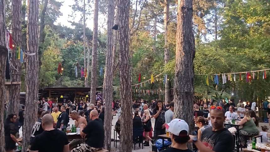 Live Image