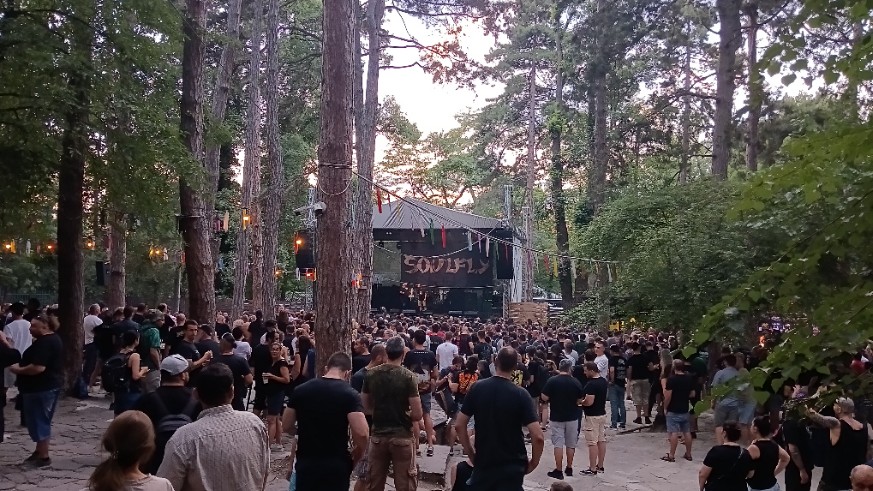 Live Image