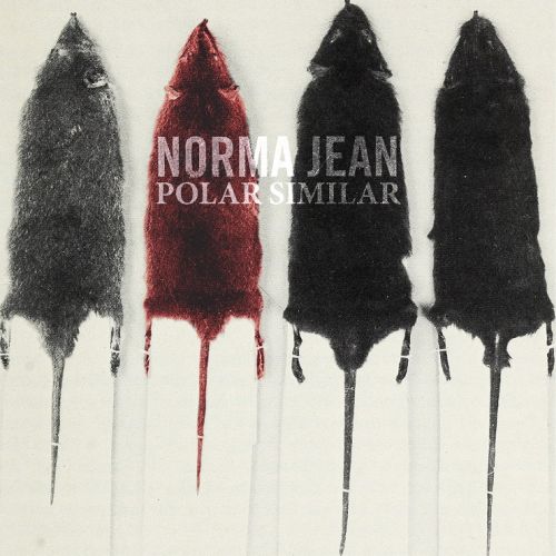 norma-jean-2016-polar-similar