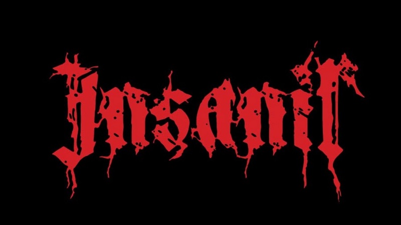 insanir logo