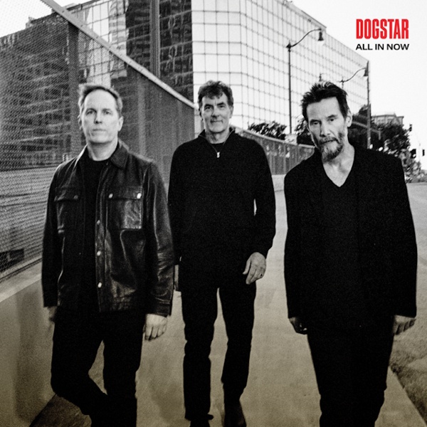 dogstar 2026 - all in now