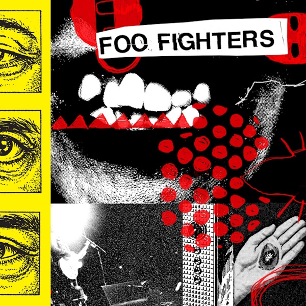 foo fighters 2026 - your favorite toy
