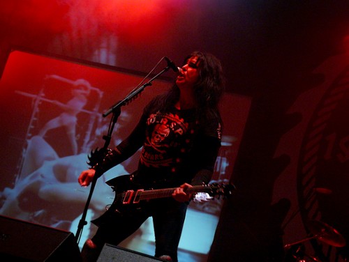 wasp sofia
