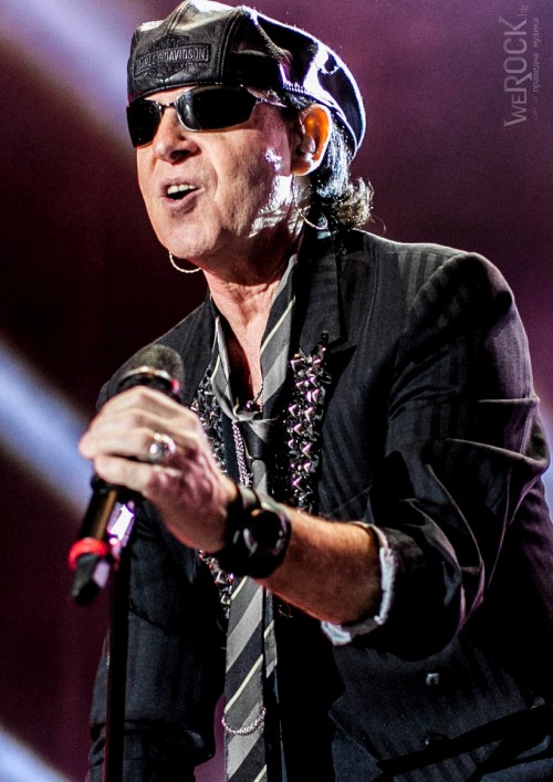 scorpions live