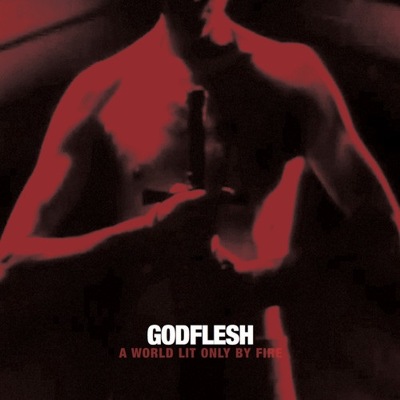 godflesh-2014-a-world-lit-only-by-fire